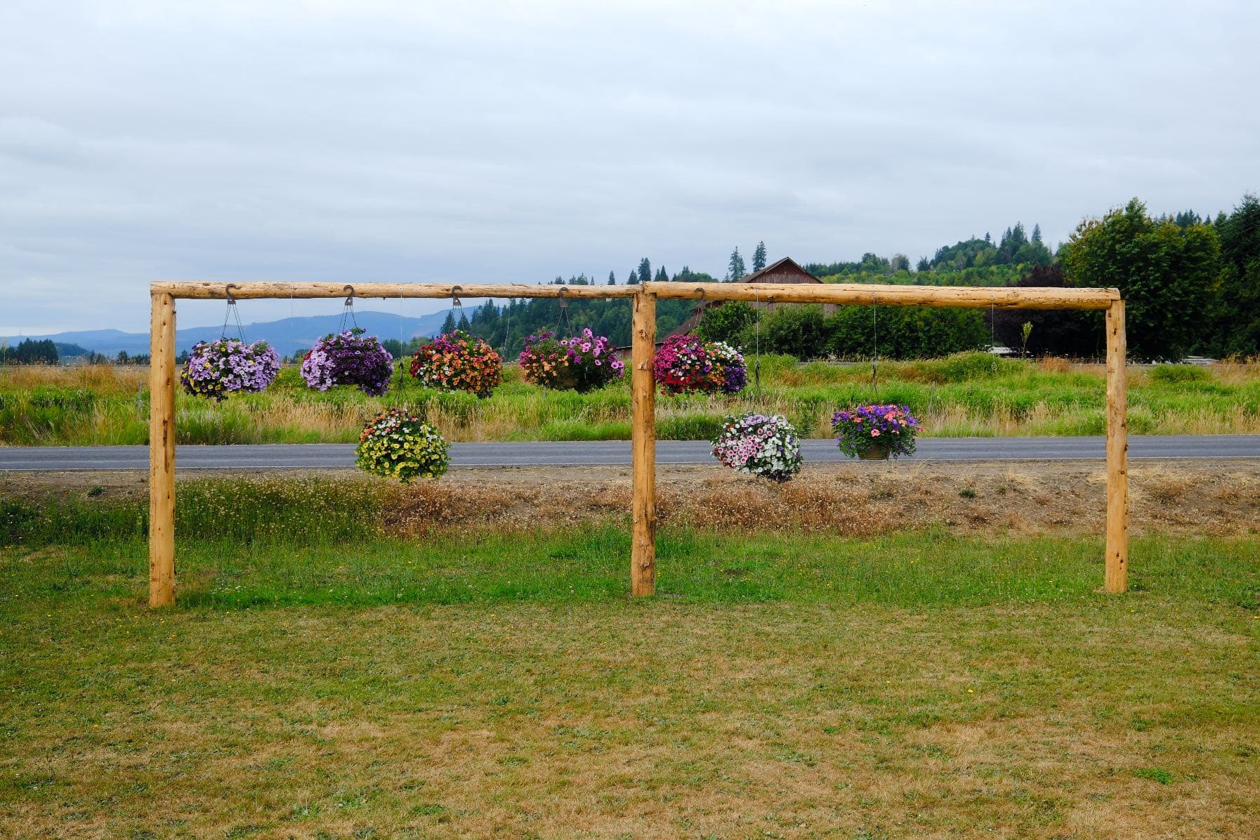 Gorgeous Gardens Nursery nursery team and greenhouse